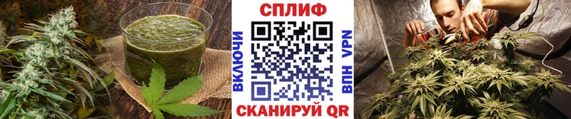 Печенье с ТГК конопля  ОМГ ОМГ вход  Далматово 