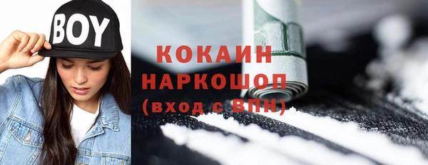 гашик Алексеевка