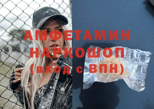 гашик Алексеевка